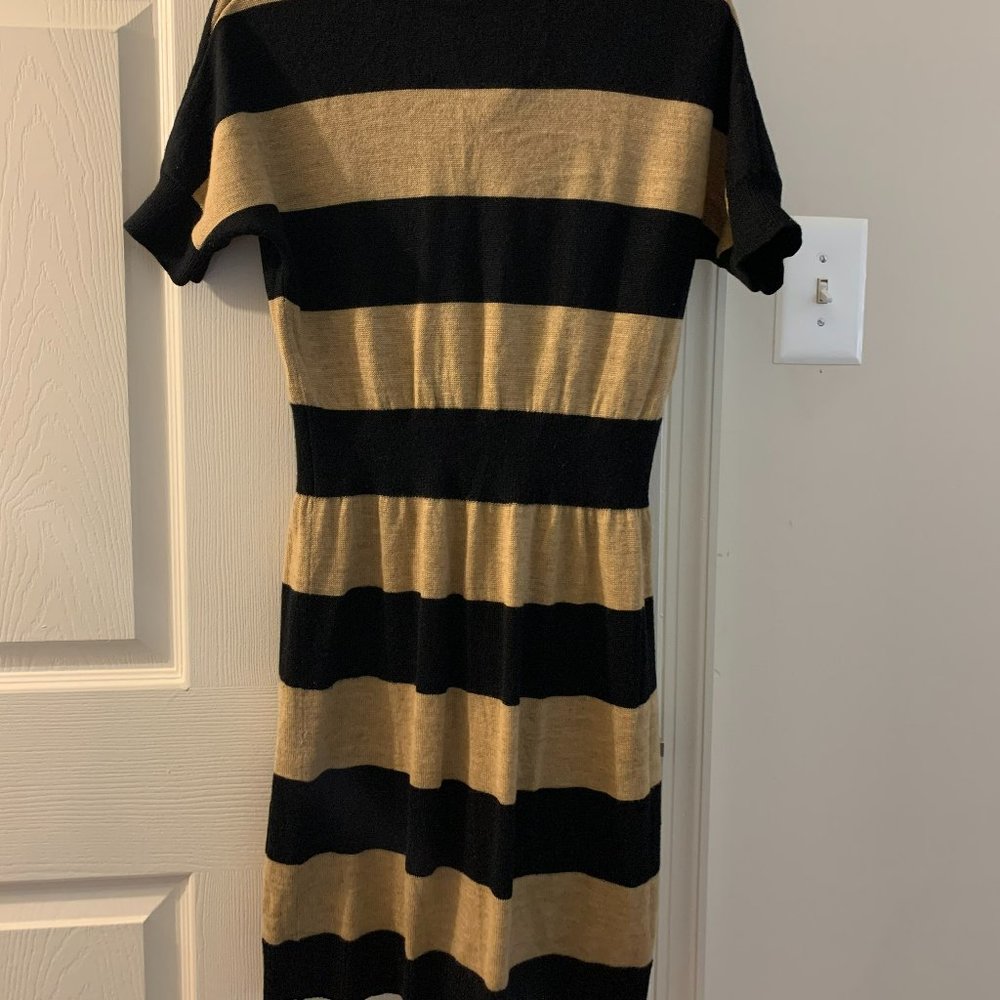 Sweater Dress - medium petite - Ann Taylor Loft - Picture 5 of 5